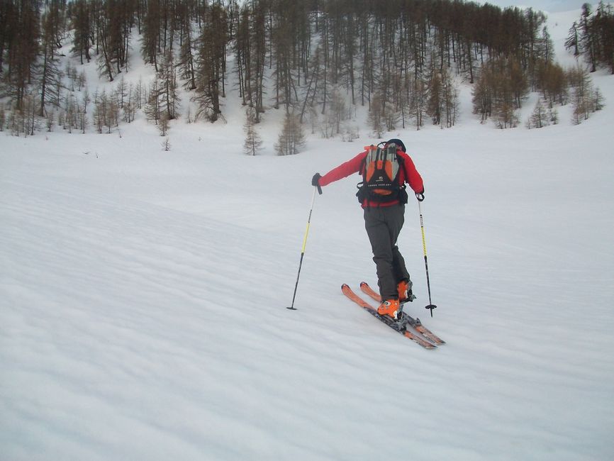 gros_tapy_avril_2013_026.jpg