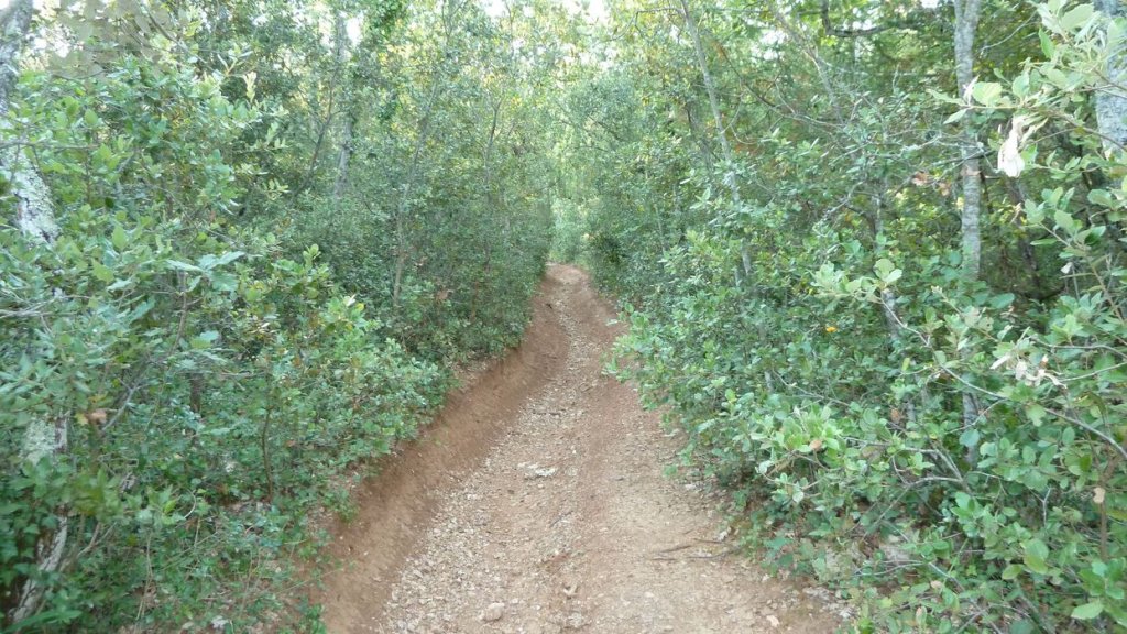 gue_du_latay_juillet_2013_006.jpg