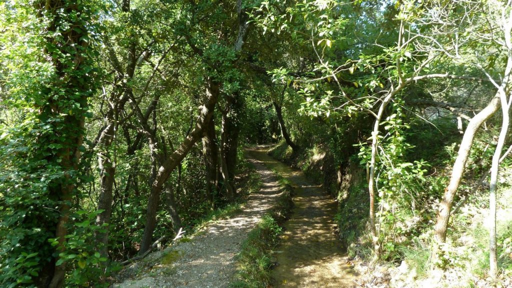 gue_du_latay_juillet_2013_032.jpg