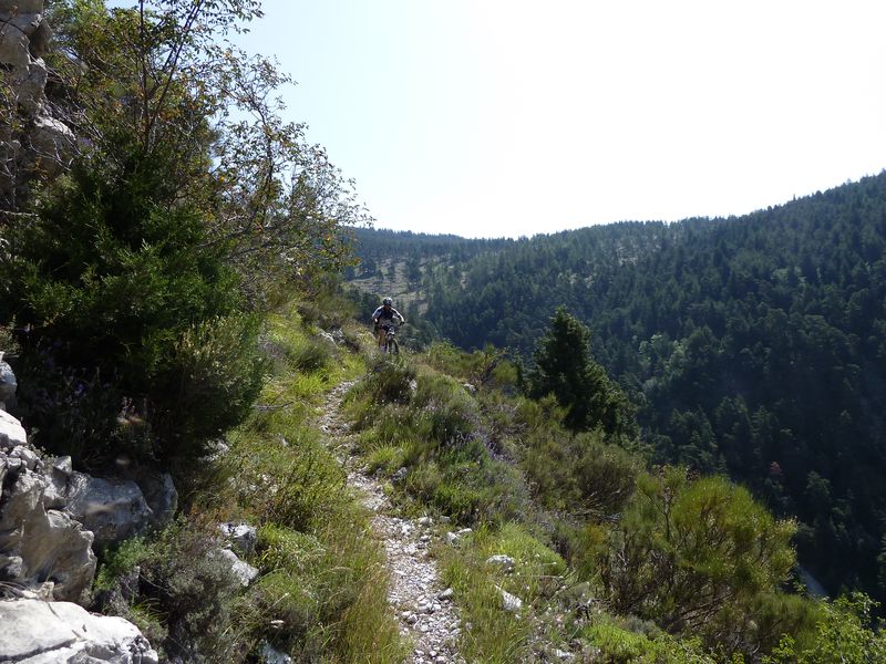 guillaume_2011_019.jpg