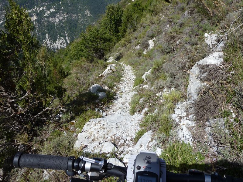 guillaume_2011_021.jpg