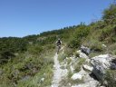guillaume_2011_015.jpg