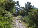 guillaume_2011_027.jpg