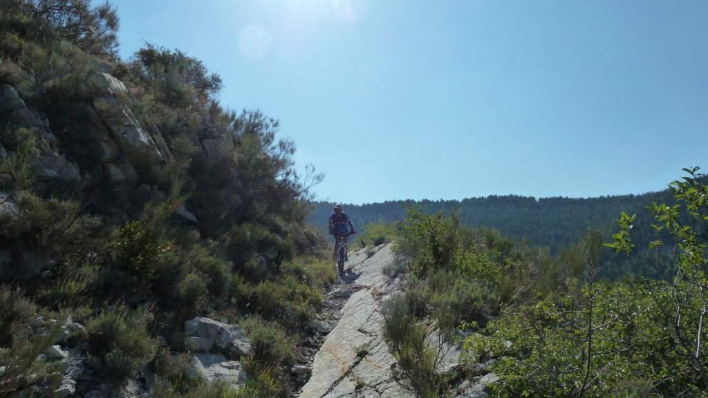 guillaume_aout_2015_037.JPG