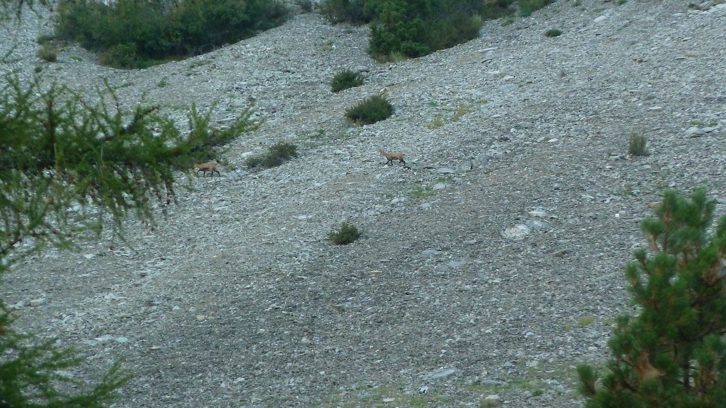 la_valette-moustiers_par_l_issole_2017_29.JPG
