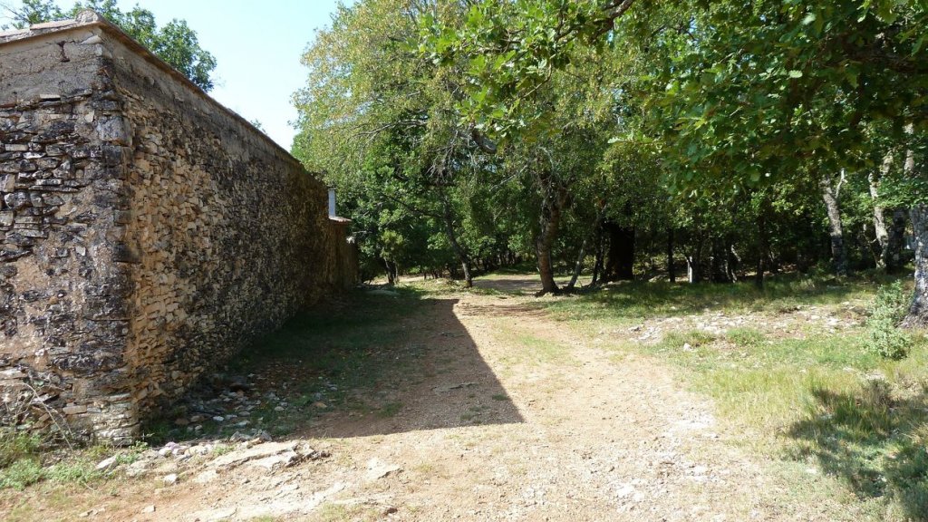 P1110931.JPG
