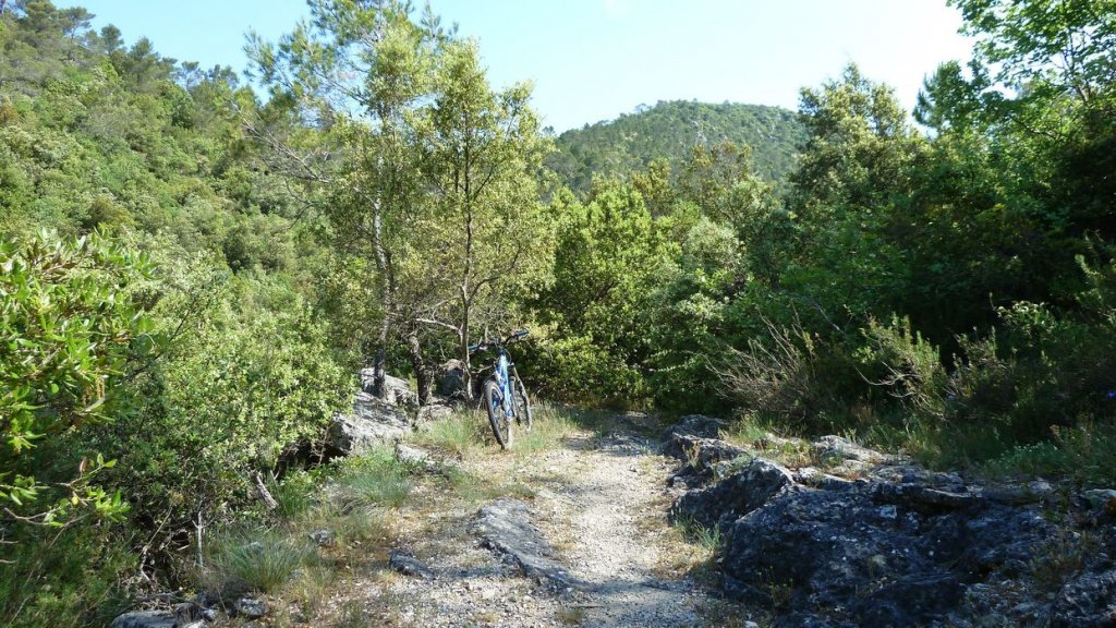 P1110934.JPG