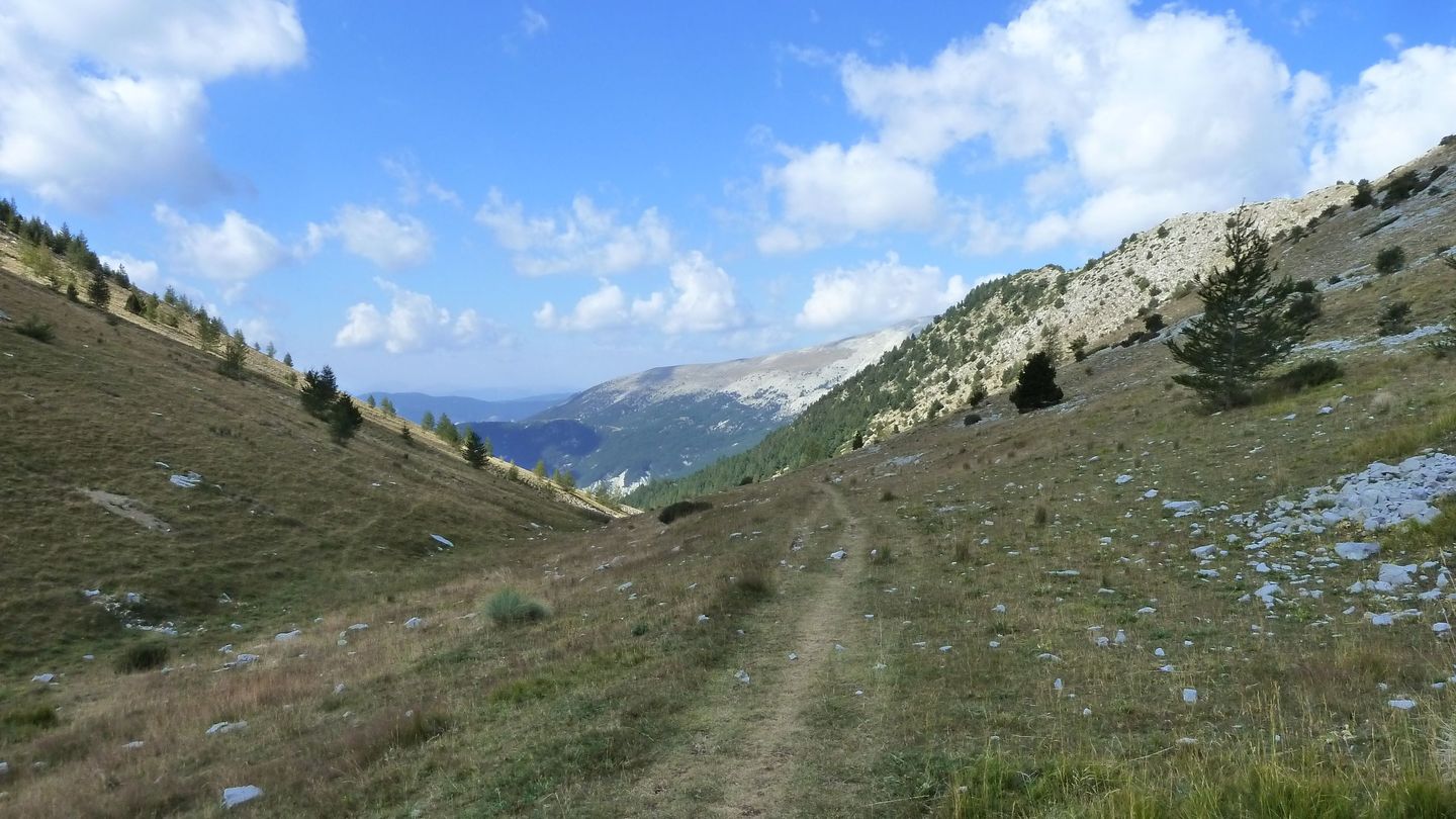 P1020317.JPG