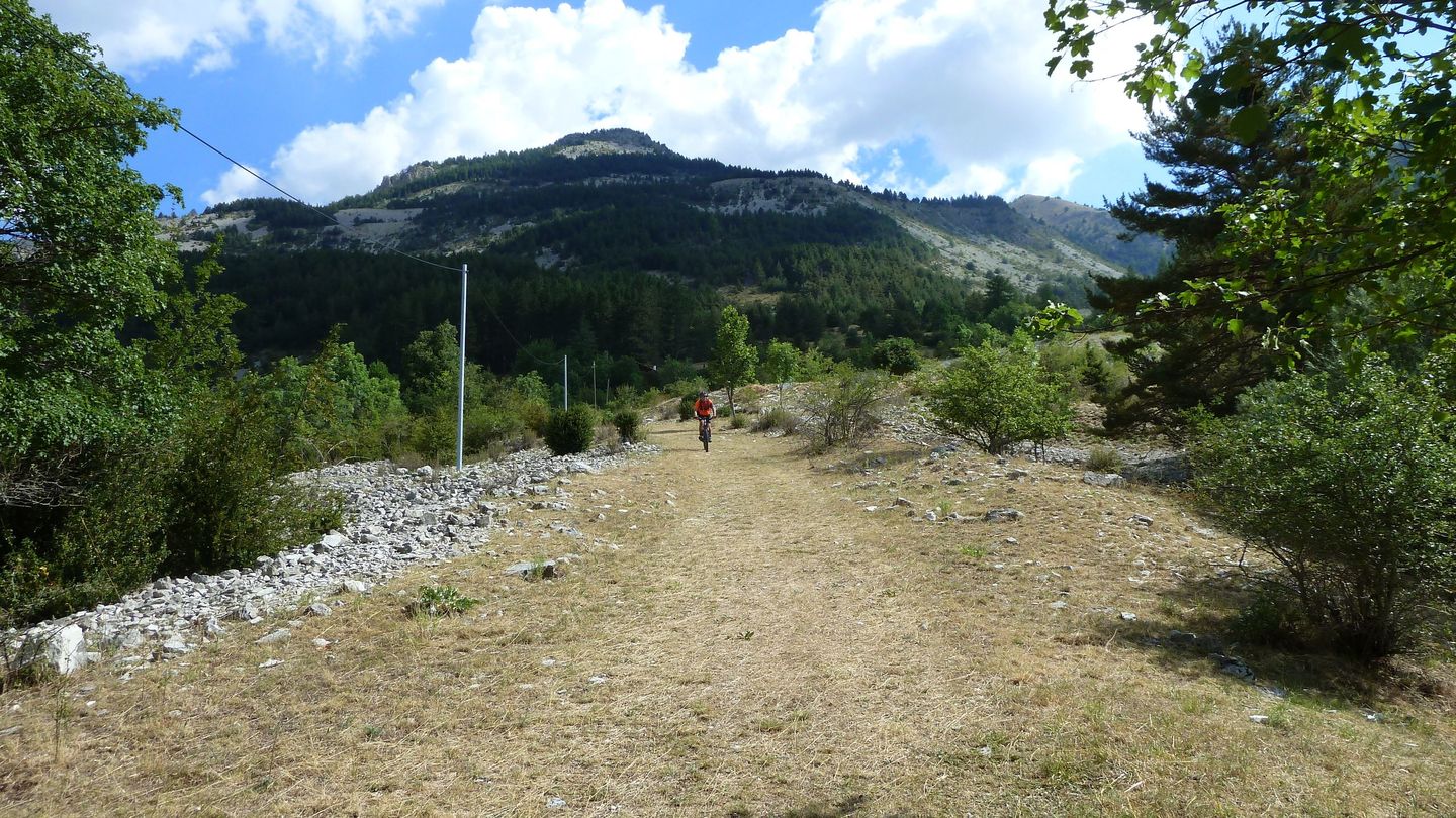 P1020324.JPG