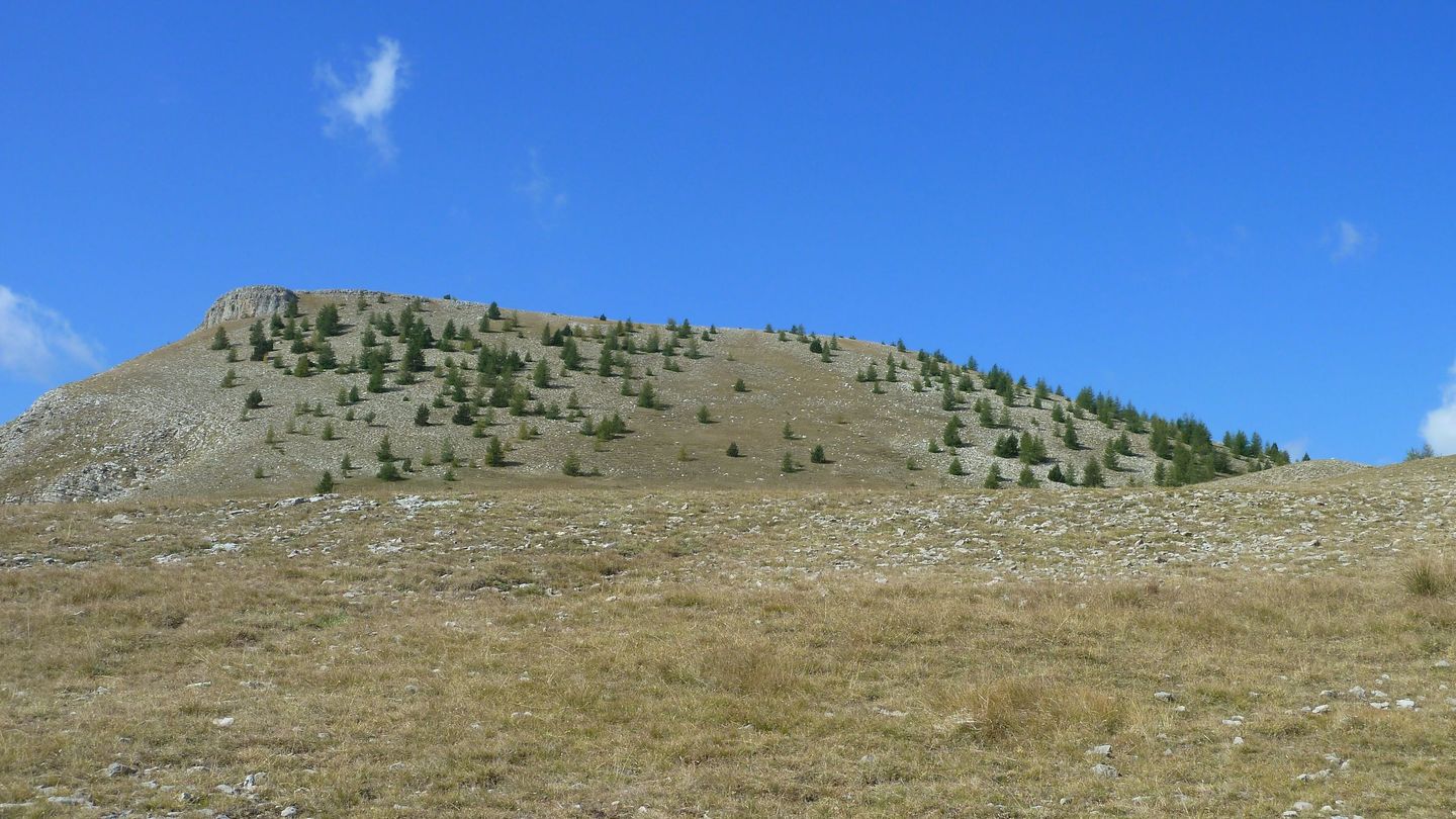 P1080133.JPG