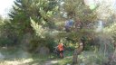 P1020280.JPG