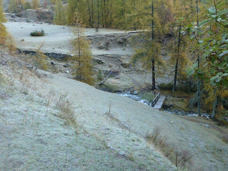 joyeux_chabaud_2011_011.jpg