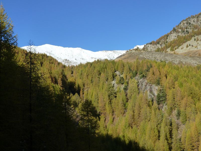 joyeux_chabaud_2011_047.jpg
