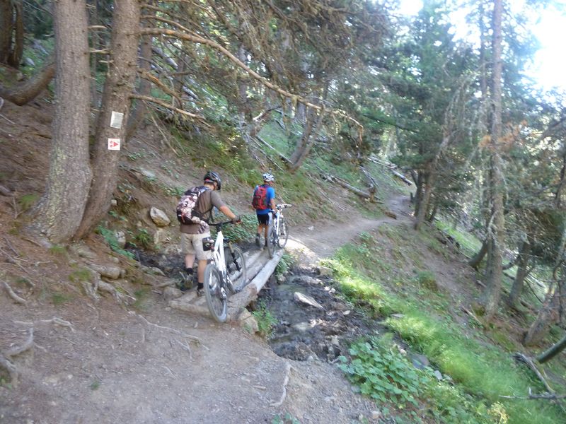 juges_2011_049.jpg