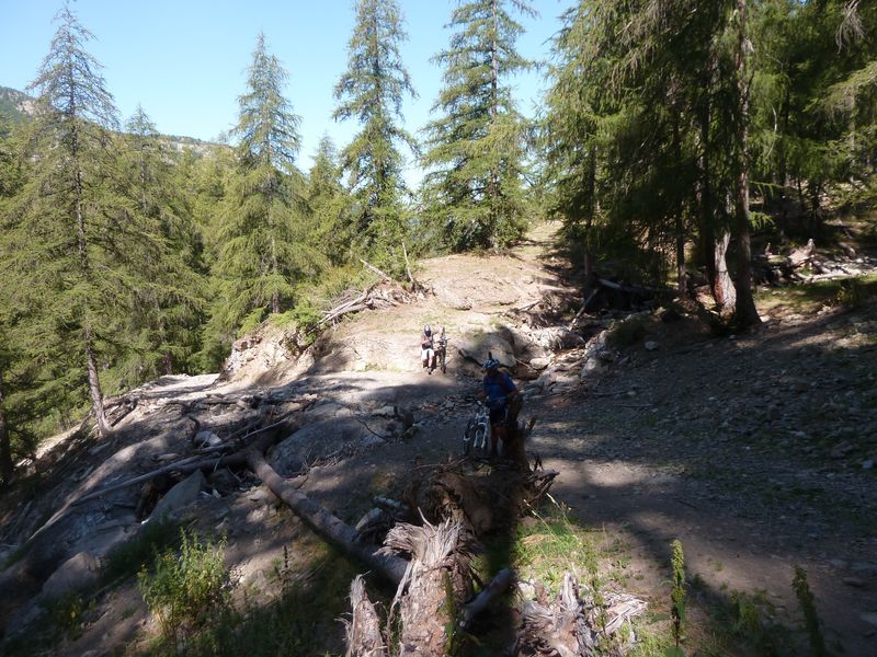 juges_2011_071.jpg