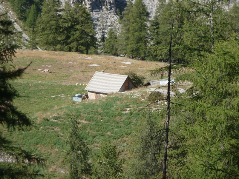 juges_2011_073.jpg
