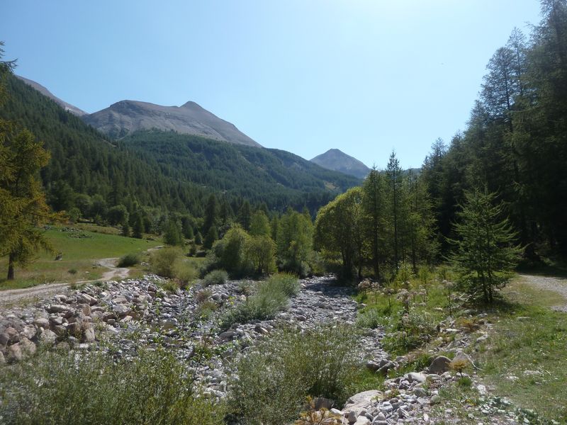 juges_2011_087.jpg