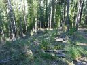 la_valette_2011_051.jpg