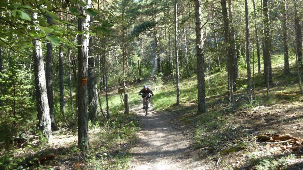issole_haut_aout_2012_080.jpg