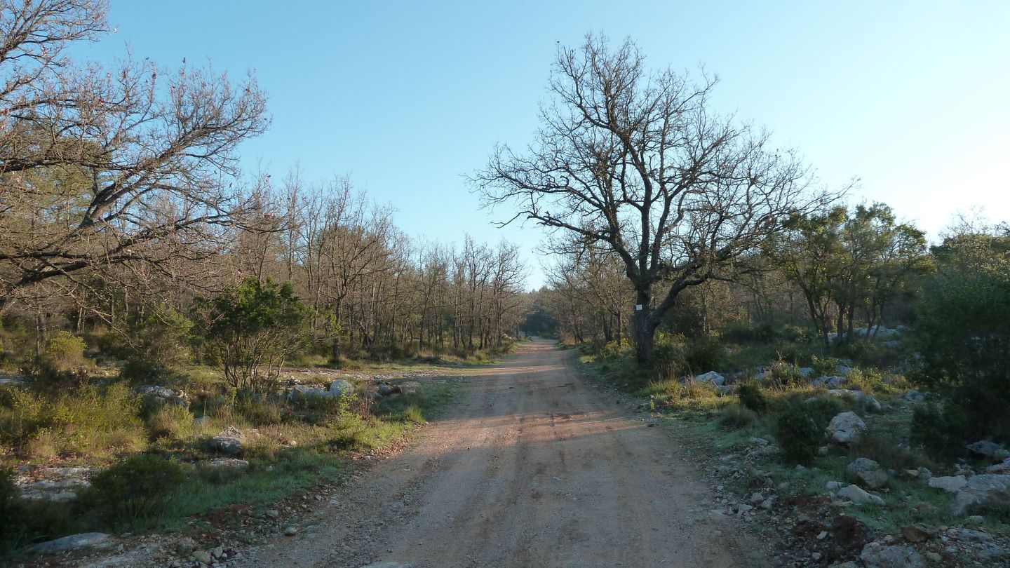 la_baraliere_avr_2017_007.JPG