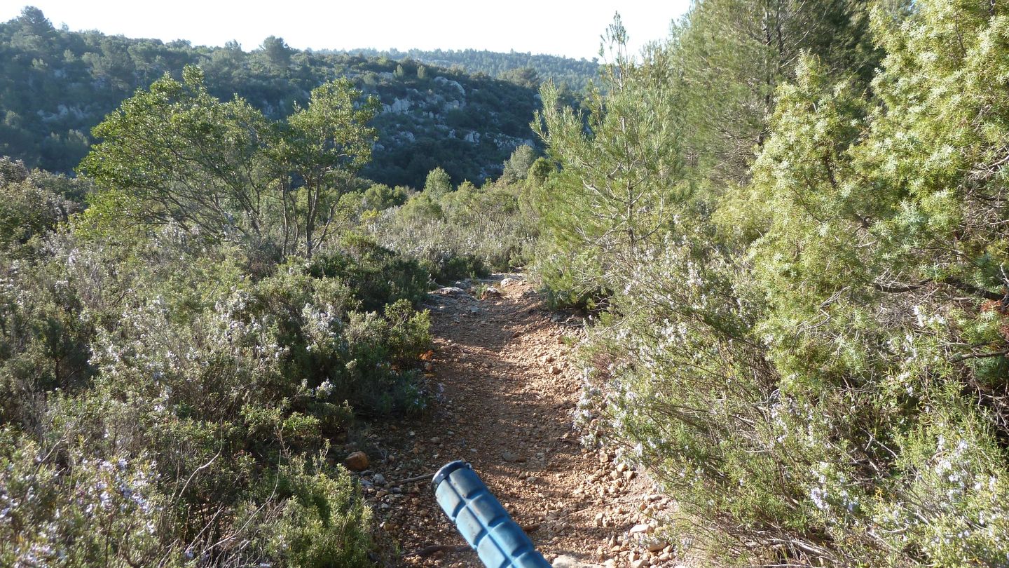 la_baraliere_avr_2017_023.JPG