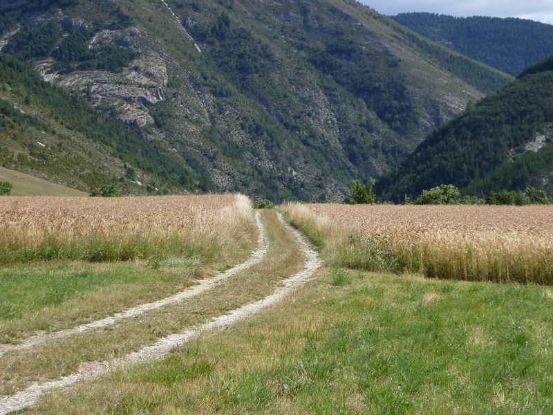 la_batie_2011_055.jpg