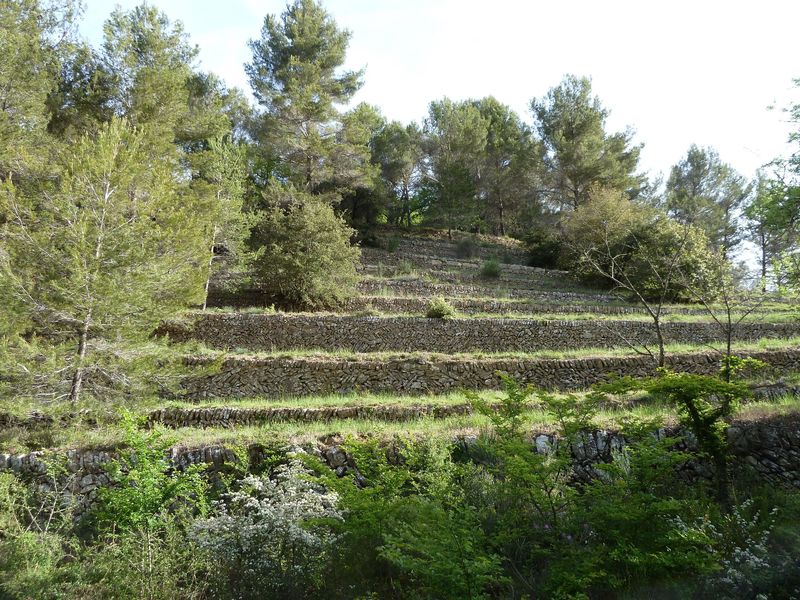 la_limate_mai_2012_014.jpg