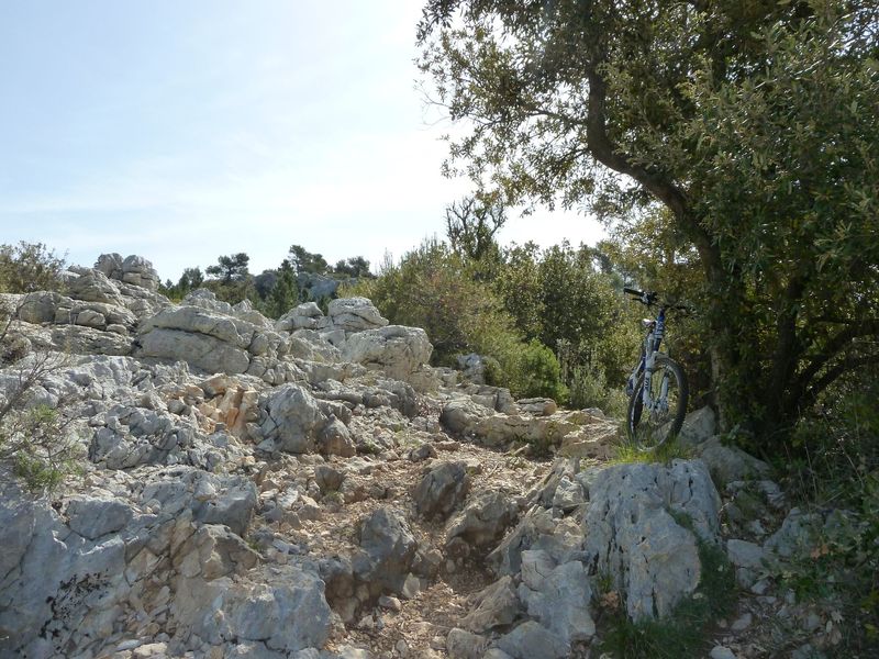 la_limate_mai_2012_044.jpg