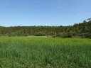 la_limate_mai_2012_026.jpg