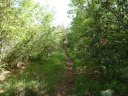 la_limate_mai_2012_040.jpg