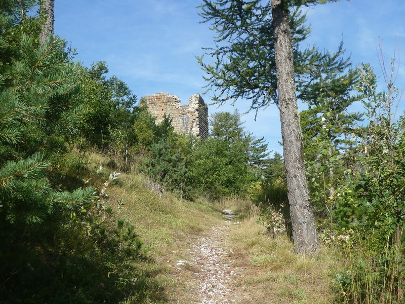 tour_de_piegut_2011_037.jpg