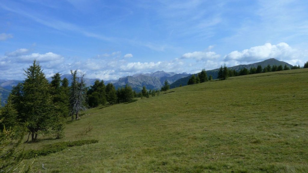 laupon_aout_2014_110.jpg