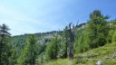 laupon_aout_2014_162.jpg