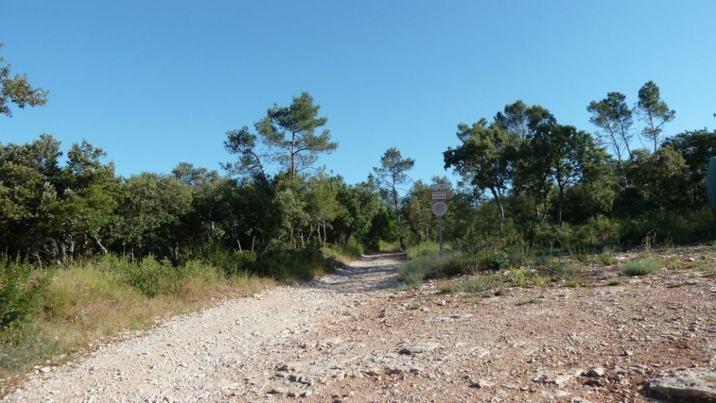 le_castellas_juin_2012_010.jpg