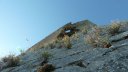 le_castellas_juin_2012_024.jpg