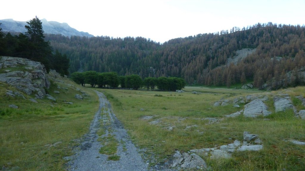 cimet_juillet_2016_005.JPG
