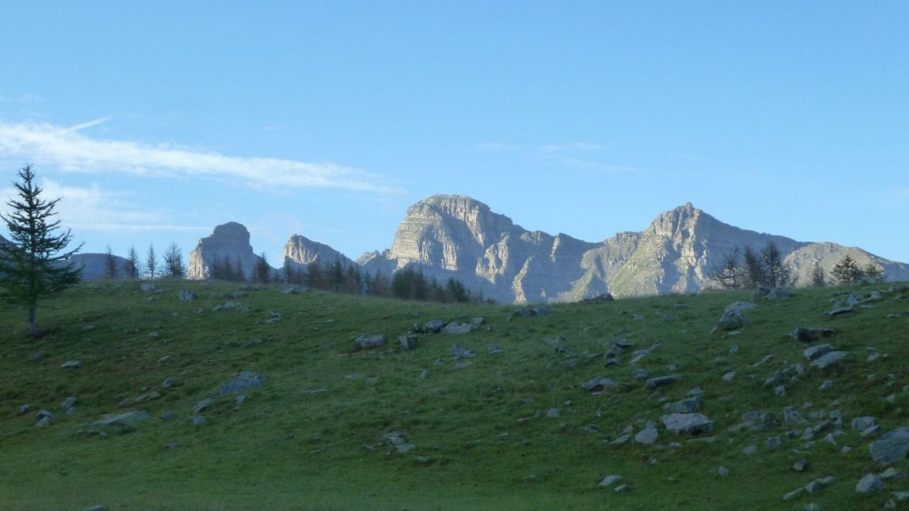 cimet_juillet_2016_009.JPG