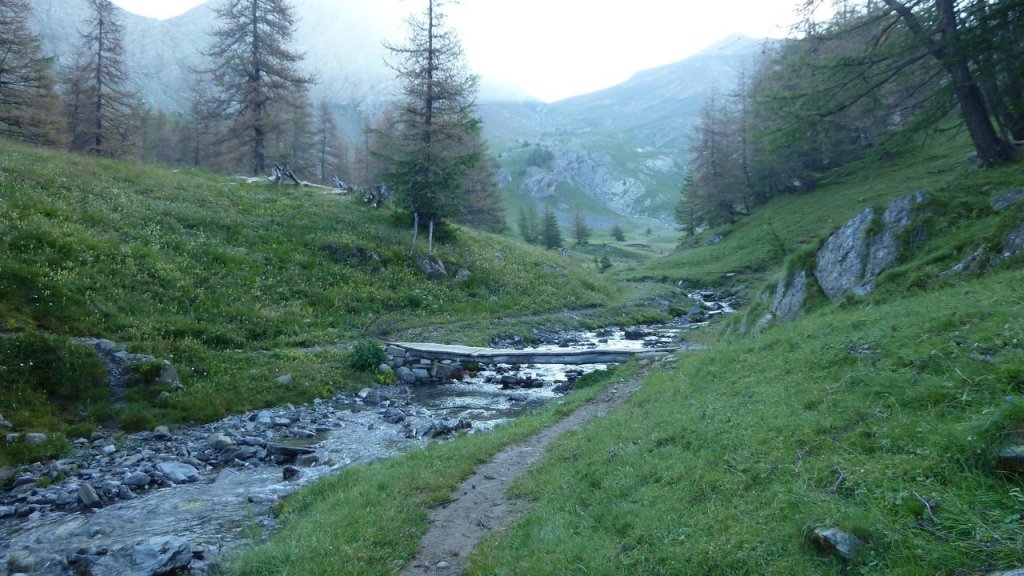 cimet_juillet_2016_015.JPG
