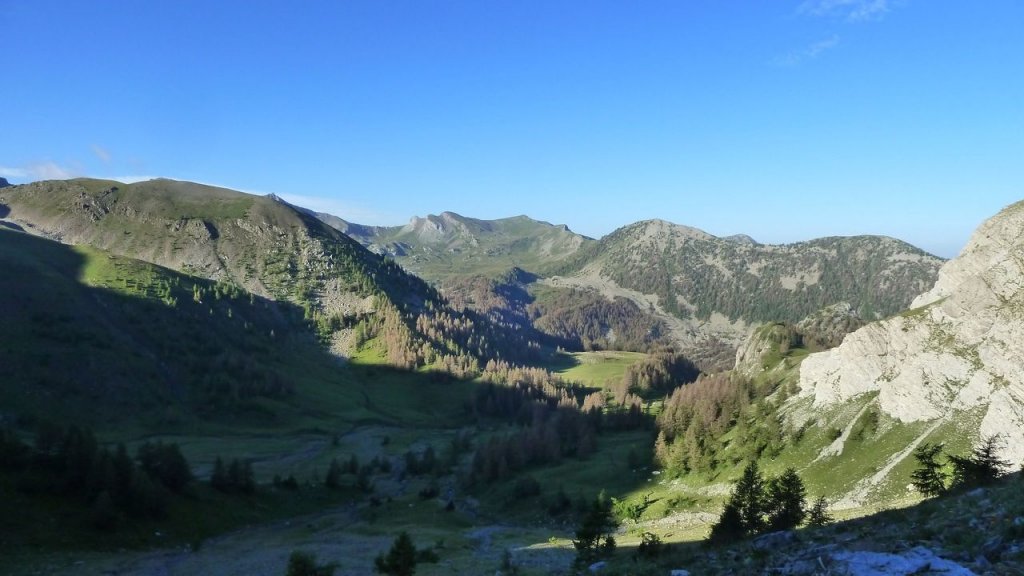 cimet_juillet_2016_021.JPG