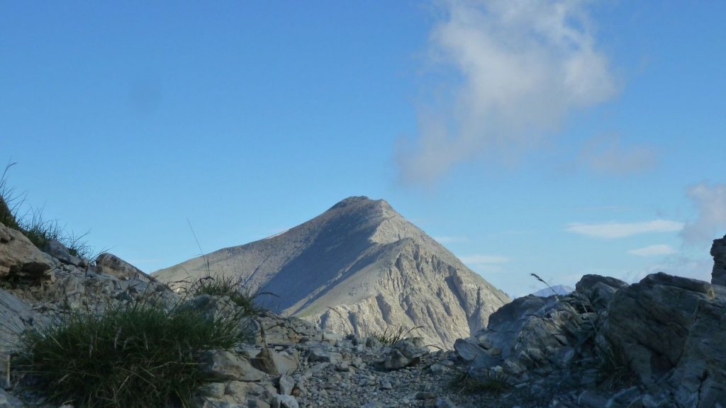 cimet_juillet_2016_067.JPG