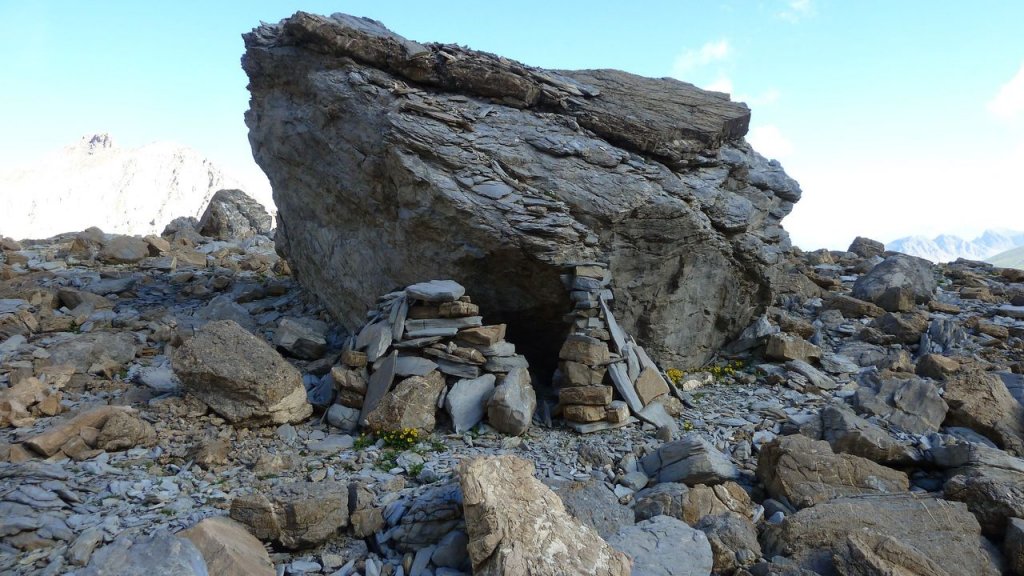 cimet_juillet_2016_095.JPG