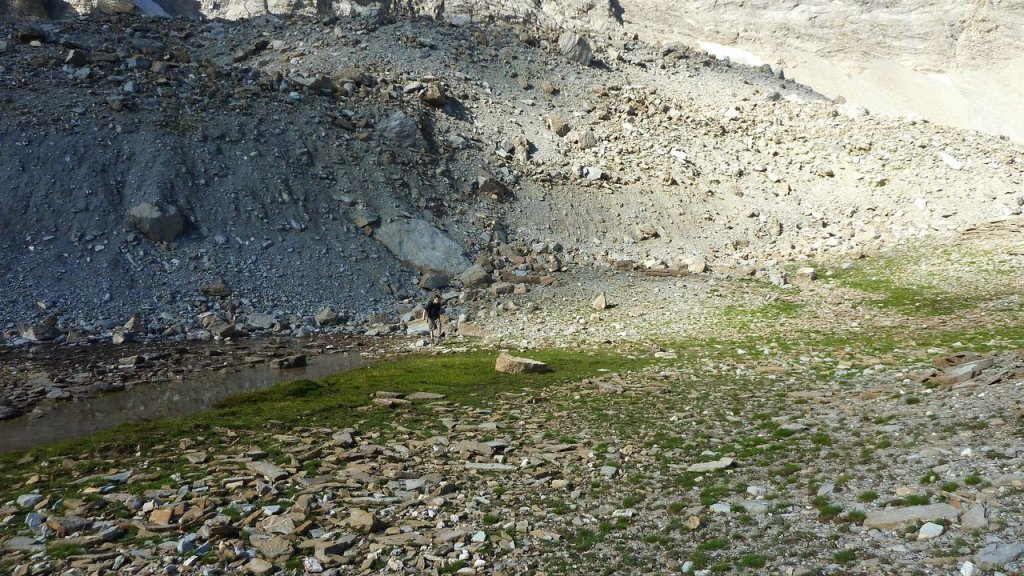 cimet_juillet_2016_119.JPG