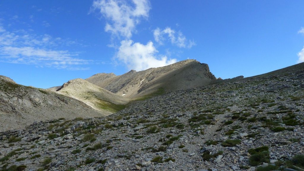 cimet_juillet_2016_131.JPG
