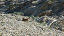 cimet_juillet_2016_053.JPG