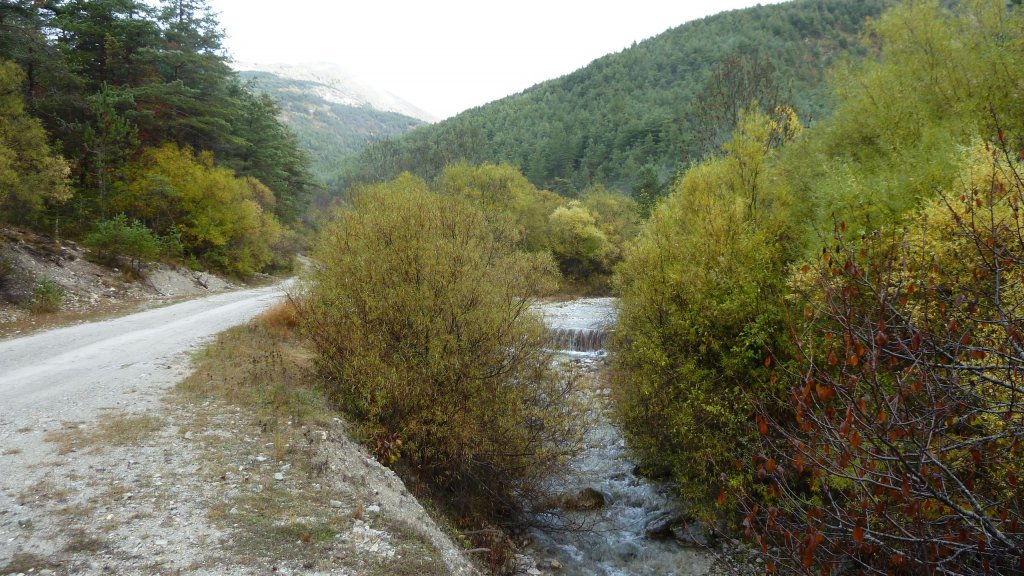 P1160255.JPG