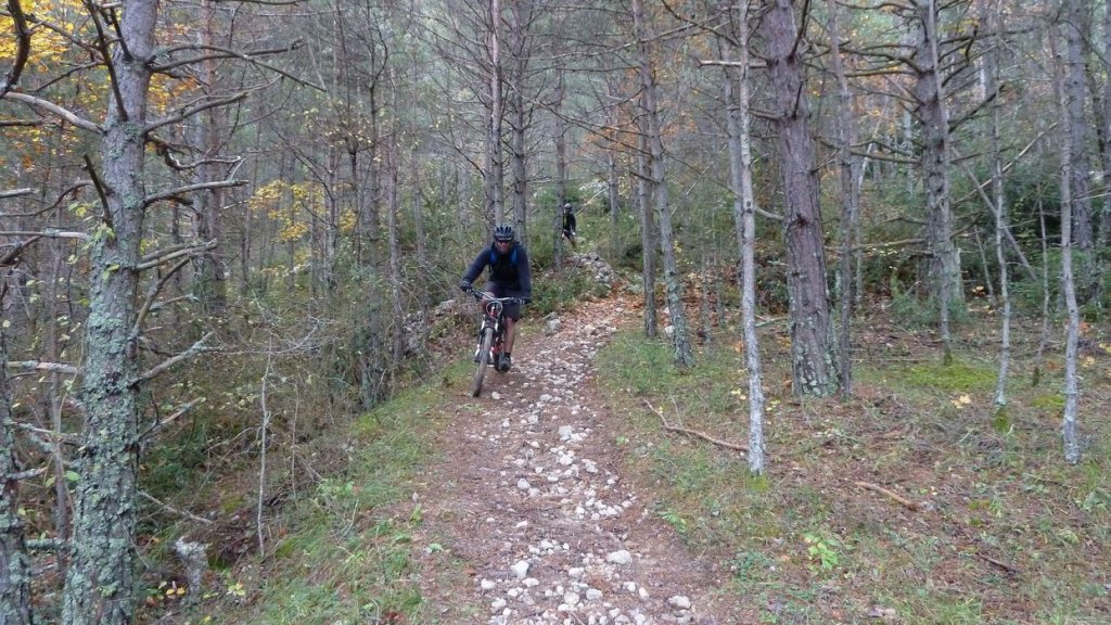 le_poil_nov__2013_170.jpg