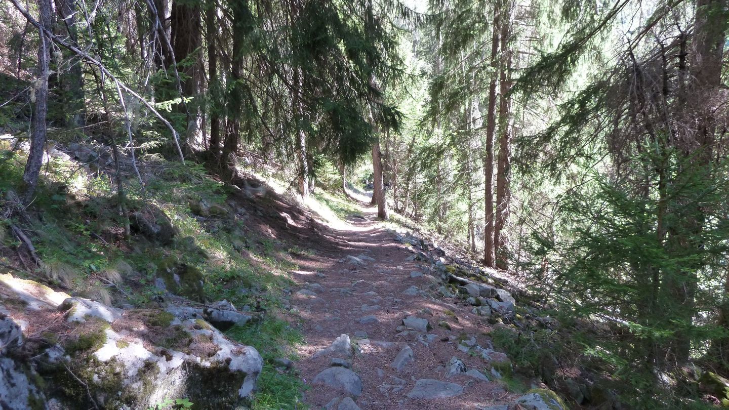 le_puy_chasse_aout_2017_073.JPG