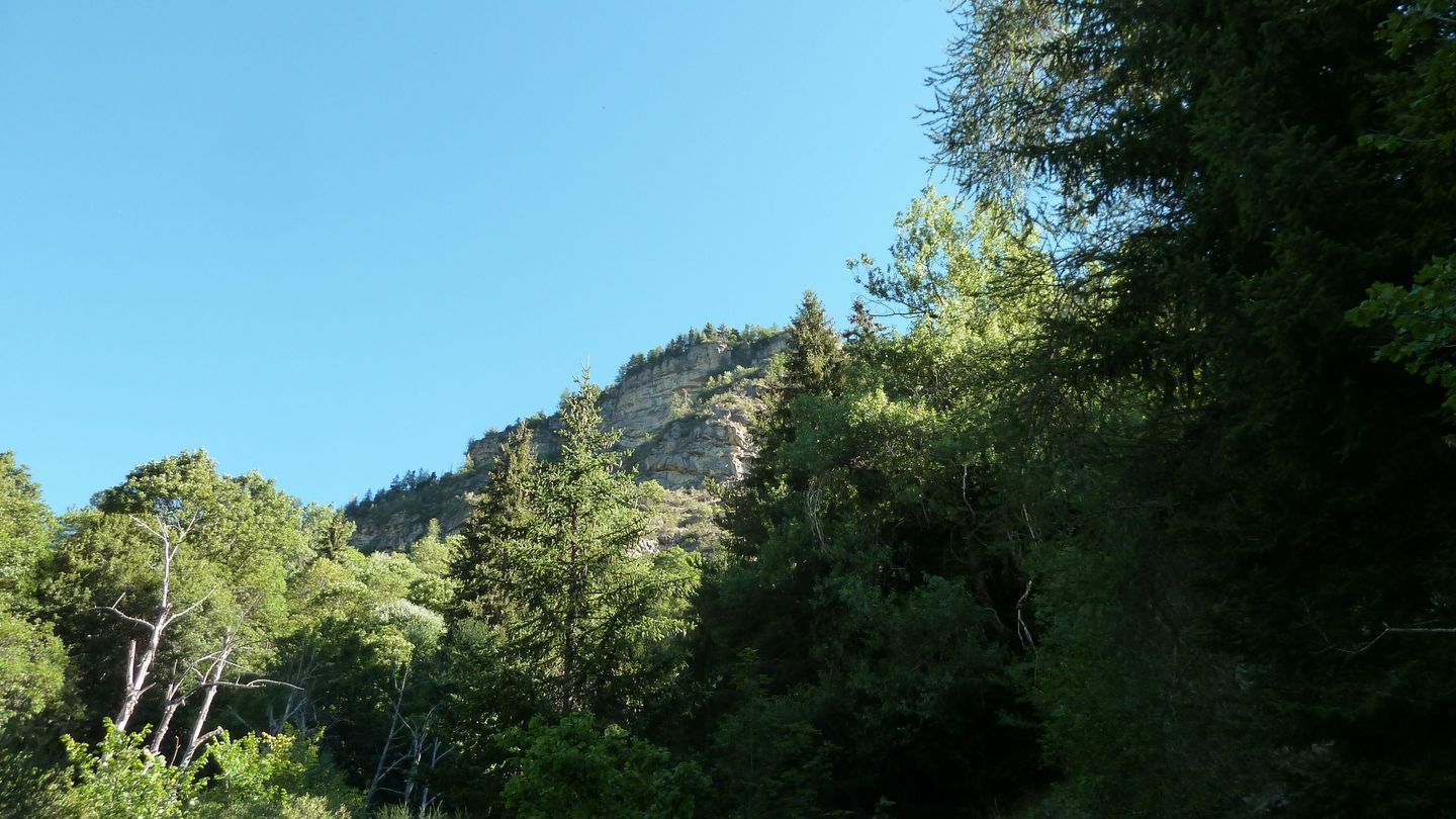 le_puy_chasse_aout_2017_094.JPG