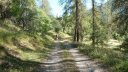 le_puy_chasse_aout_2017_022.JPG
