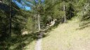 le_puy_chasse_aout_2017_061.JPG